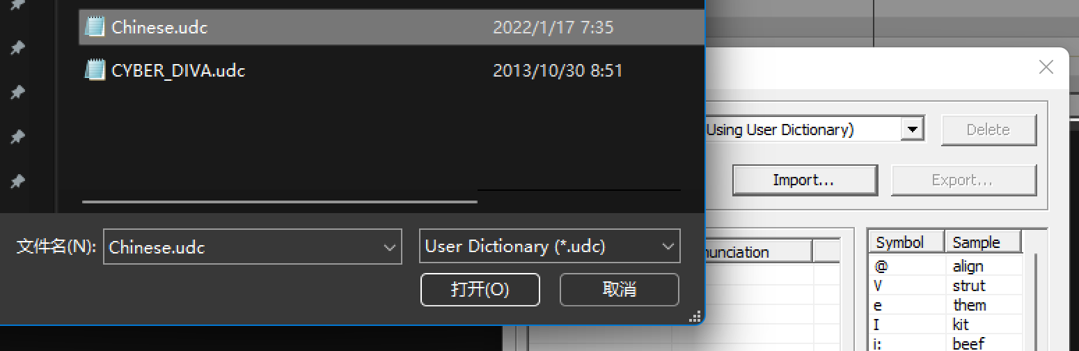 select the user dictionary